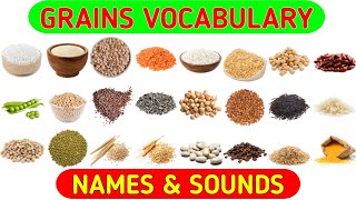 Grains Vocabulary  Learn Grains Seeds amp Cereals Name in English With Pictures [upl. by Rus]