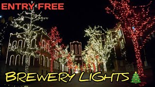 AnheuserBusch Brewery Lights DriveThru Experience 2020 Is Beautiful in St Louis Missouri [upl. by Durston]