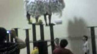 kwong ngai lion dance practice 光艺练习 [upl. by Woothen607]