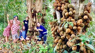 Fruit Hunters Finally Find Rarest Durian In The World [upl. by Sitelc]