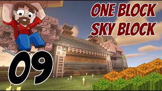 One Block Sky Block Java Edition Episode 9 Melon and Pumpkin FARM [upl. by Ysnil966]