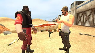 Demoman finds Soldier in the Canadian Border TF2 15ai Gmod Animation [upl. by Hutt]