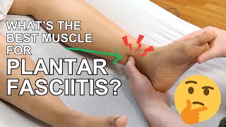 FOOT MASSAGE Tutorial Pt 5 Tibialis Posterior Releases for Flat Feet [upl. by Eng]