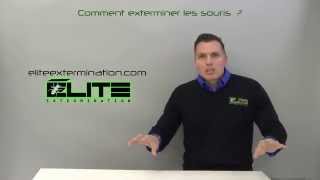 COMMENT EXTERMINER LES SOURIS   Élite Gestion Parasitaire [upl. by Yahsan364]