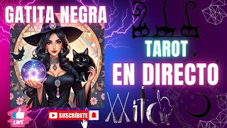 ¡Gatita negra está emitiendo en directo [upl. by Otsugua]