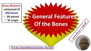 2 General features of Bones  Synovial membrane  Synovial sheath  Synovial bursa [upl. by Coffeng]