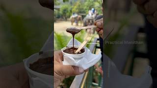 MustTry Melted Chocolate in Thekkady A Sweet Adventure [upl. by Llebanna]