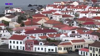 Faial Island Azores  Imagens da cidade da Horta [upl. by Aluino402]