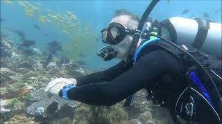 TWIN ROCKS DIVE SITE SCUBA DIVING IN ANILAO [upl. by Wolpert768]