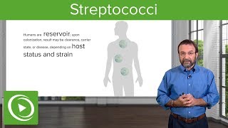 Streptococci – Microbiology  Lecturio [upl. by Just]