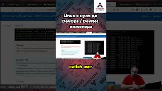 Осторожно ваши файлы могут исчезнуть навсегда Курс linux с нуля до devops  devnet инженера [upl. by Alak919]