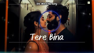 Tere Bina  Heartbreaking Hindi Love Song 2024  Soulful Romantic Ballad  Emotional Breakup Song [upl. by Noma]