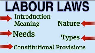 Labour Law Introduction Meaning Types Nature Need amp Constitutional Provisions of Labour Law [upl. by Valentina942]