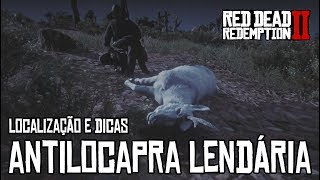 RED DEAD REDEMPTION 2  ABATENDO A ANTILOCAPRA LENDÁRIA LOCALIZAÇÃO E DICAS [upl. by Sudaorb]