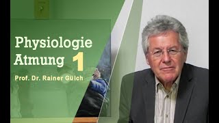 Physiologie der Atmung aus Sicht eines Professors 1 [upl. by Dearman]