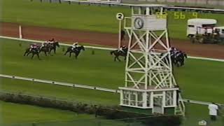 1988 VRC FLEMINGTON  September Meeting [upl. by Uaerraj886]