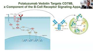 Upfront Therapy in DLBCL  RCHOP and Beyond  Dr Brian Hill Sep 30Oct 1 2022 [upl. by Ycul]