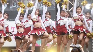 早稲田応援部チアリーダーズBIGBEARS 早稲田祭スペシャルステージ [upl. by Eilrahs]