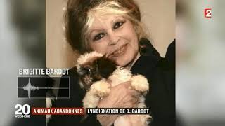 Brigitte Bardot Interview du 15 07 2017 [upl. by Reena]