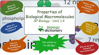 Properties of Biological Macromolecules  AP Biology 14 [upl. by Etnaihc32]