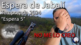 Espera de Jabalí Temporada 2024 Espera 5 NO ME LO PUEDO CREER [upl. by Sidonie239]