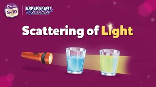 Scattering of Light Experiment  Science Experiments at Home ExperimentShorts [upl. by Hazmah]