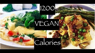 1200 Vegan Calories a Day  Vegan Weight Loss [upl. by Tnomyar]