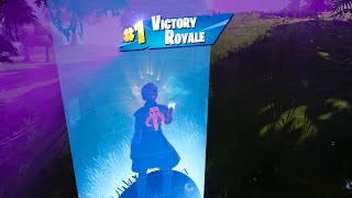 NEW FENNEC SHAND IN FORTNITE Solo Full Gameplay Showcase EpicPartner [upl. by Llednav]