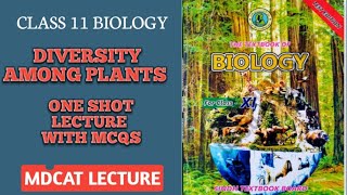 DIVERSITY AMONG PLANTS  ONE SHOT SERIES PART 1  MCQS ALSO EXPLAINED  DOCTORS STOP BIOLOGY [upl. by Anavoig]