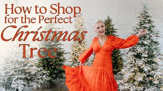 Christmas Tree Shop  My Top 5 Favorite Trees  How to Shop for the Perfect Christmas Tree [upl. by Kealey302]