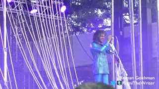 The Flaming Lips quotHeroesquot David Bowie cover  BottleRock Napa Valley [upl. by Ecarg]