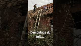 Premier vrai chantier  Démontage du toit de la porcherie challenge [upl. by Narmak219]