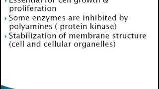 POLYAMINES [upl. by Anegue]