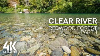 Soothing Sound of a Flowing Water Stream amp Birds Chirping  4K Redwood Forest Clear River  Part 1 [upl. by Channing]