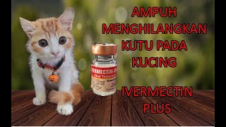 Cara menghilangkan kutu kucing dan earmate  INVERMECTION PLUS  Remove fleas on cats [upl. by Esilanna]