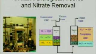 Biological Removal of Arsenic and Nitrate from Drinking Water Sourcesm4v [upl. by Seligman]