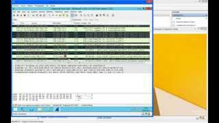 WireShark  Aplicar filtros [upl. by Elokyn743]