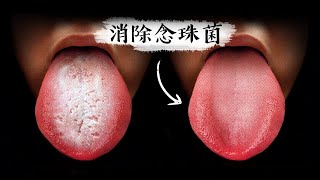 消除念珠菌更好的3個方法增強免疫力自然療法柏格醫生 Dr Berg [upl. by Hanauq622]