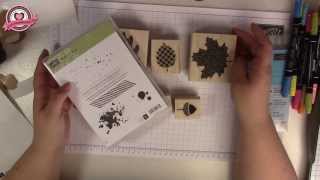 Tutorial Stempel montieren mit Stampin Up [upl. by Dimitri471]