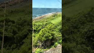 Scenery of the east cost of Australia between Kiama and Gerringong Station [upl. by Service]