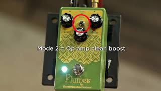 Earthquaker Plumes Pedal [upl. by Yroc]