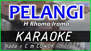 PELANGI  Rhoma irama  KARAOKE DANGDUT COVER Pa800 [upl. by Kevyn]