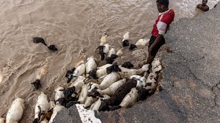 Piégés par les inondations des centaines de Kenyans évacués [upl. by Nosrac]