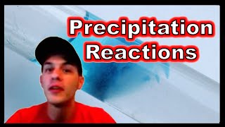 Precipitation Reactions [upl. by Anoit]