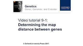 Determining the Map Distance Between Genes [upl. by Sami]