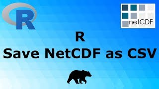 R  Save NetCDF as csv [upl. by Einnij]