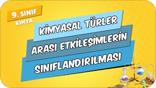 Kimyasal Türler Arası Etkileşimlerin Sınıflandırılması  9Sınıf Kimya 2024 [upl. by Eirtemed]