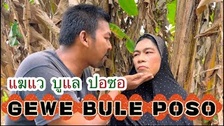 GEWE BULE POSO แฆแว บูแล ปอซอ [upl. by Yenobe]