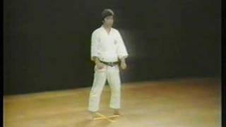 Bassai Sho  Shotokan Karate [upl. by Wan]