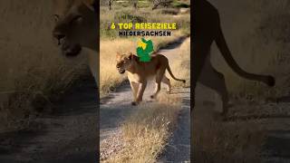 🚗💨 Entdecke Niedersachsen Von 🦁 SerengetiPark bis ⛏️ Rammelsberg  Abenteuer und Fun 🏰 reise [upl. by Yelkreb]